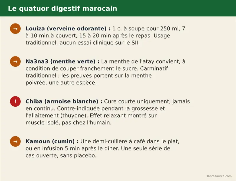 Récapitulatif du quatuor digestif marocain : louiza, na3na3, chiba, kamoun, avec niveau de preuve et moment de prise