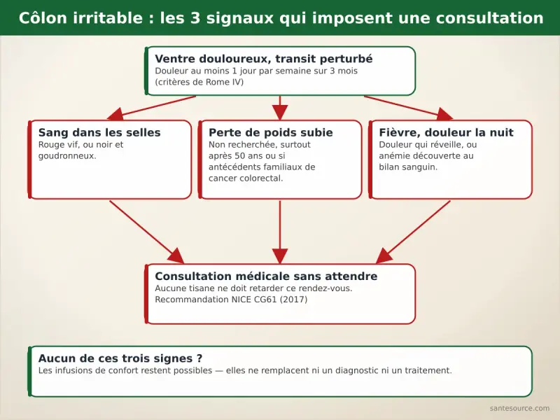 Arbre de décision : sang dans les selles, perte de poids ou fièvre imposent une consultation avant toute tisane