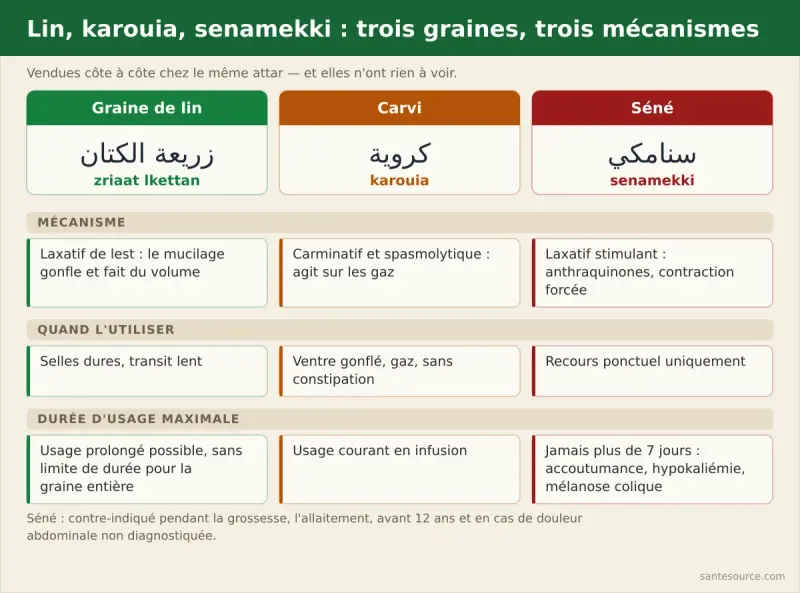 Comparaison du lin, du carvi karouia et du séné senamekki : mécanisme, indication et durée d'usage maximale