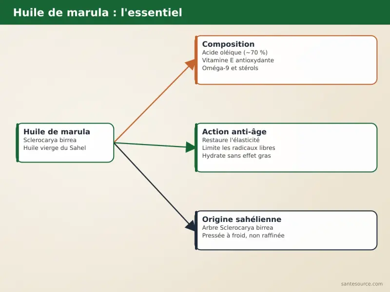 Carte mentale des bienfaits de l'huile de marula : acide oléique, vitamine E, anti-âge, origine sahélienne Sclerocarya birrea