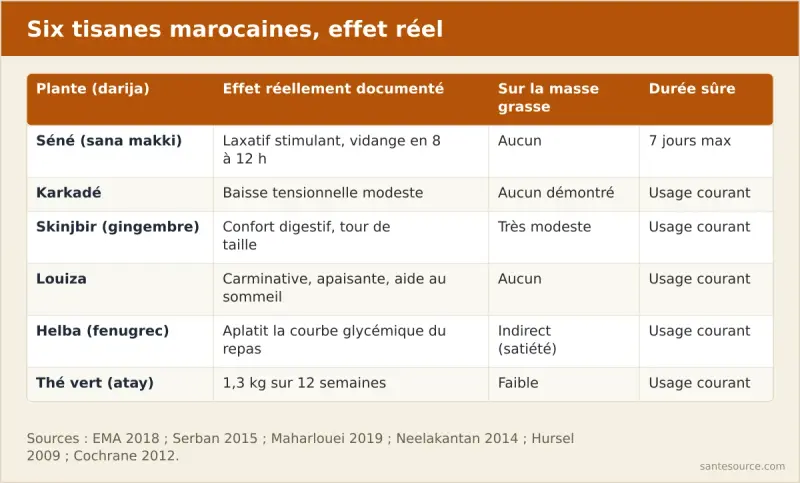 Comparaison des six tisanes minceur vendues au Maroc : séné, karkadé, skinjbir, louiza, helba et thé vert, avec leur effet documenté et leur durée d'usage sûre