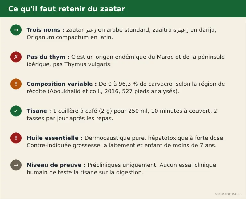 Récapitulatif des noms, de la dose et des contre-indications du zaatar marocain