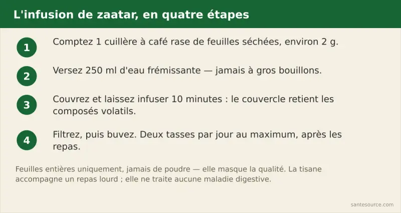 Les quatre étapes de l'infusion de zaatar : une cuillère à café, 250 ml d'eau, 10 minutes à couvert, filtrage