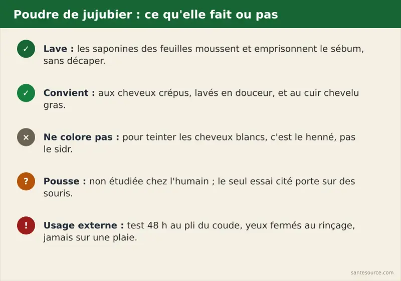 Récapitulatif de la poudre de jujubier pour cheveux : lave grâce aux saponines, convient aux cheveux crépus et au cuir chevelu gras, ne colore pas, pousse non étudiée chez l'humain, usage externe et yeux à protéger