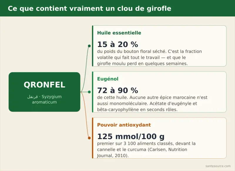 Composition du clou de girofle : 15 à 20 % d'huile essentielle, dont 72 à 90 % d'eugénol, et pouvoir antioxydant de 125 mmol pour 100 g