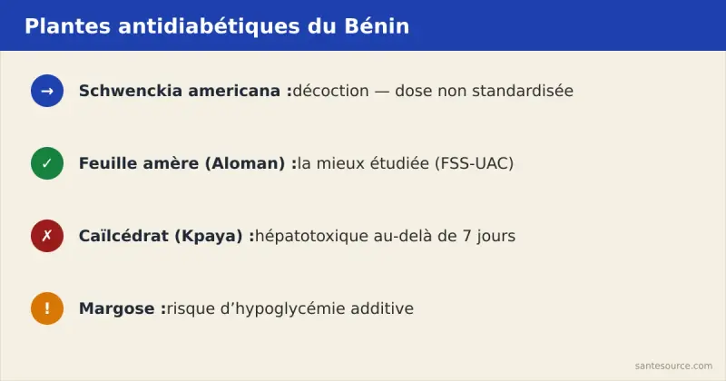 Récapitulatif des plantes béninoises antidiabétiques et de leurs précautions clés