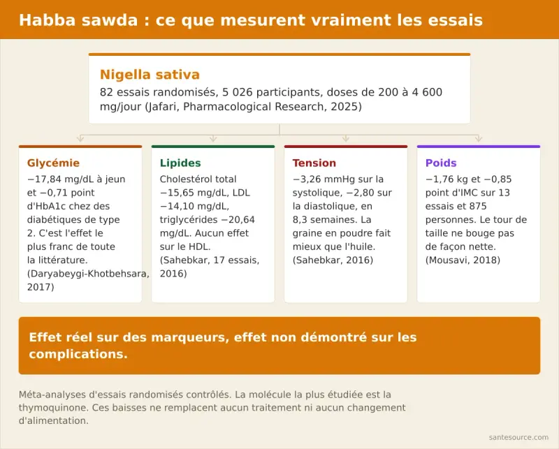 Carte mentale des bienfaits prouvés de la habba sawda : glycémie, cholestérol, tension et poids, avec la méta-analyse correspondante