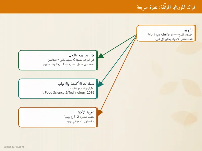 خريطة ذهنية لفوائد المورينجا الرئيسية: الطاقة، فقر الدم، مضادات الأكسدة ومصادرها العلمية