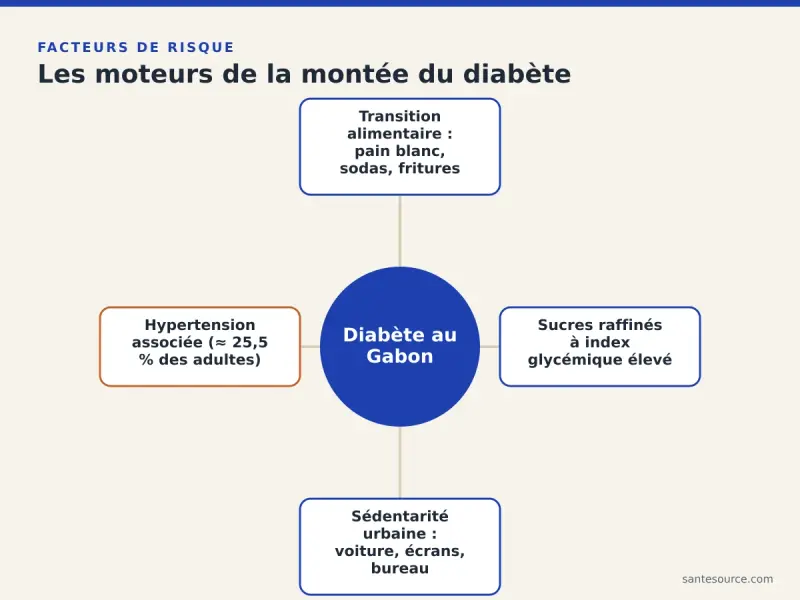 Carte mentale des moteurs du diabète au Gabon : transition alimentaire, sucres raffinés, sédentarité urbaine et hypertension associée