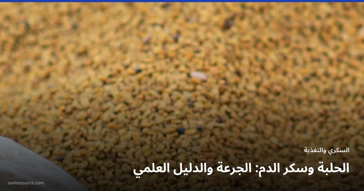 بذور الحلبة الذهبية في كيس سوق مغربي، مادة المقال عن الحلبة وسكر الدم والجرعة اليومية