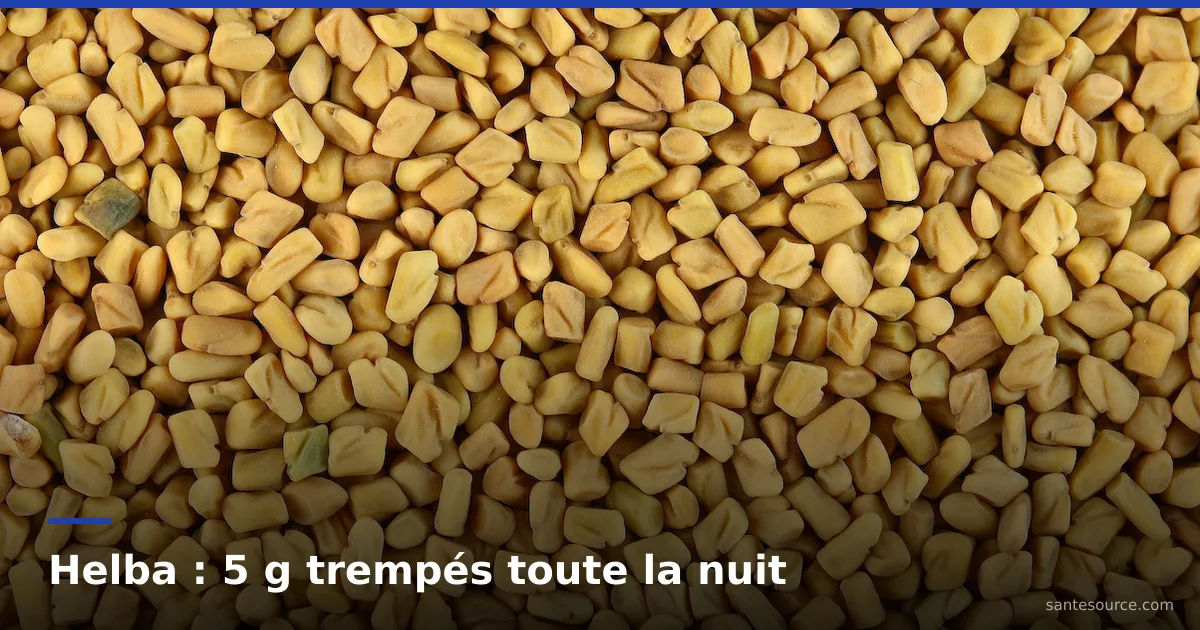 Graines de fenugrec jaune ocre en vrac, la helba utilisée au Maroc contre la glycémie