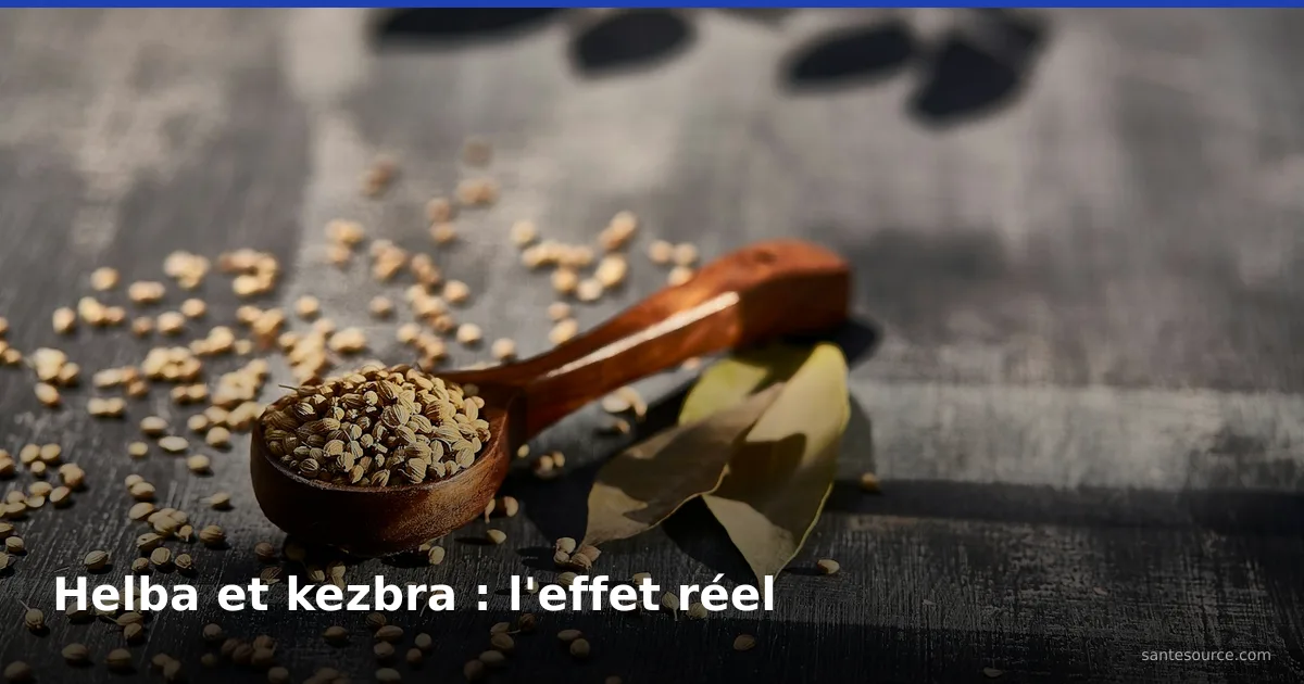 حبّ الحلبة الذهبي إلى جانب حبّ الكزبرة الأخضر، مكوّنا منقوع الحلبة والكزبرة لمرضى السكري في المغرب
