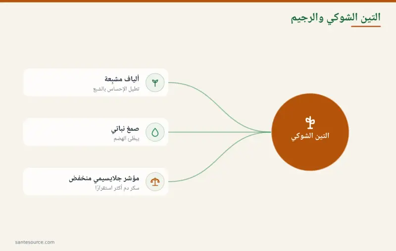خريطة ذهنية تلخّص كيف يساعد التين الشوكي في الرجيم عبر الألياف والصمغ والمؤشر الجلايسيمي المنخفض