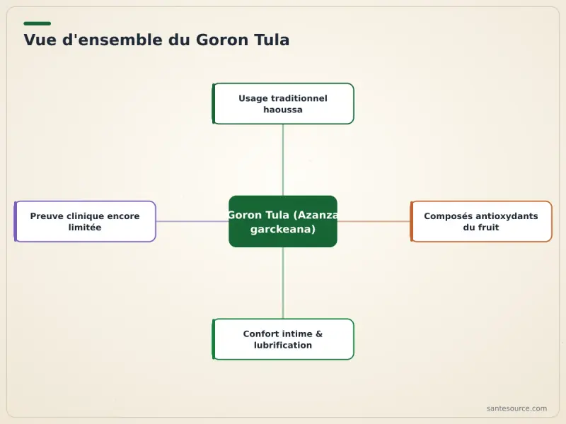 Carte mentale du Goron Tula : usage traditionnel haoussa, composés antioxydants, effets sur la lubrification et limites scientifiques