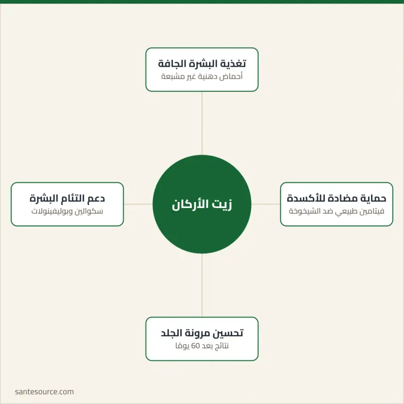 خريطة ذهنية لفوائد زيت الأركان للبشرة: التغذية، الحماية المضادة للأكسدة، المرونة، اللمعان