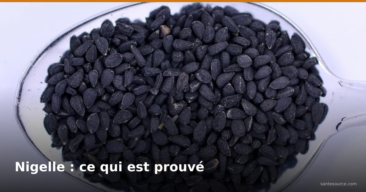 Graines de nigelle (habba sawda) noires en gros plan sur une cuillère, utilisées au Maroc pour la glycémie et la tension