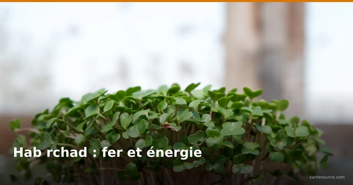 Jeunes pousses de hab rchad (cresson alénois), remède marocain riche en fer contre la fatigue
