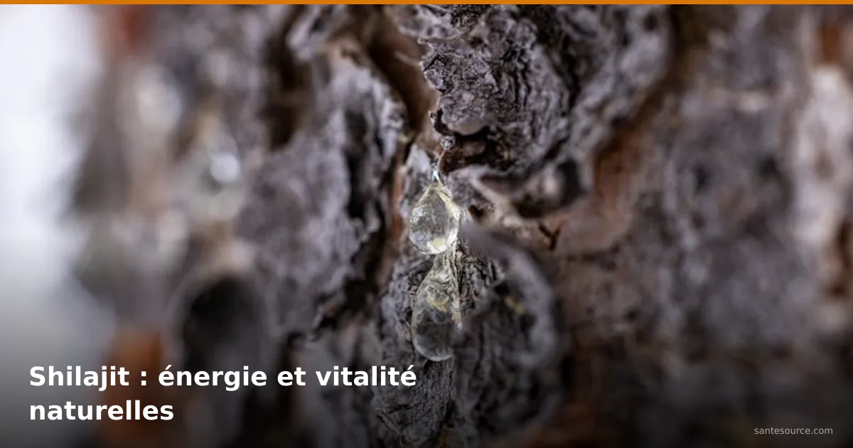 Résine naturelle suintant d'une écorce d'arbre, similaire au shilajit minéral pour l'énergie et la vitalité