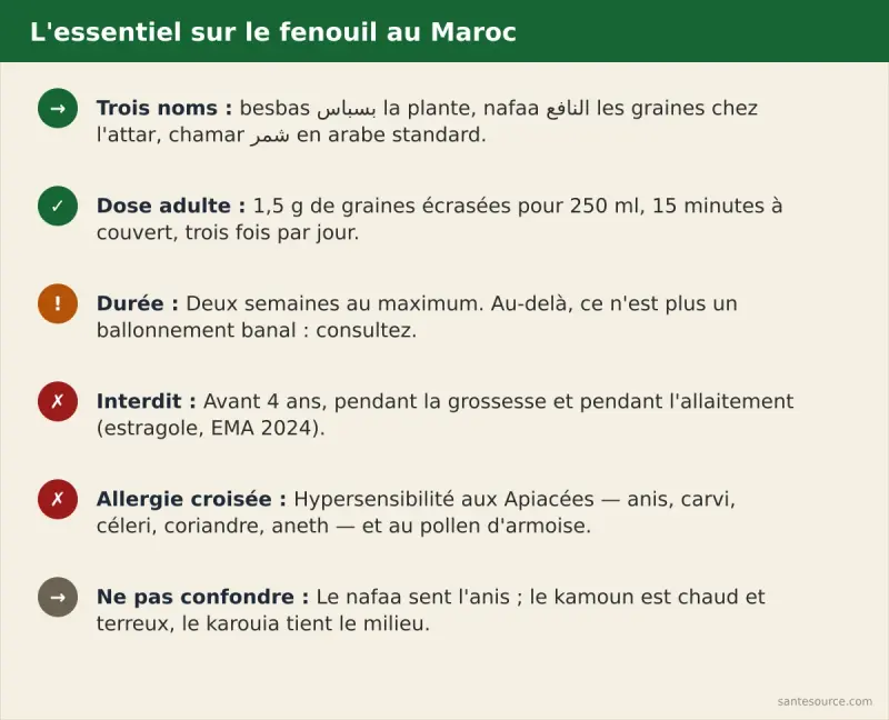 Récapitulatif nafaa : besbas en darija, chamar en arabe standard, infusion 1,5 g pour 250 ml quinze minutes trois fois par jour, deux semaines maximum, interdit avant 4 ans et pendant la grossesse, allergie croisée aux Apiacées