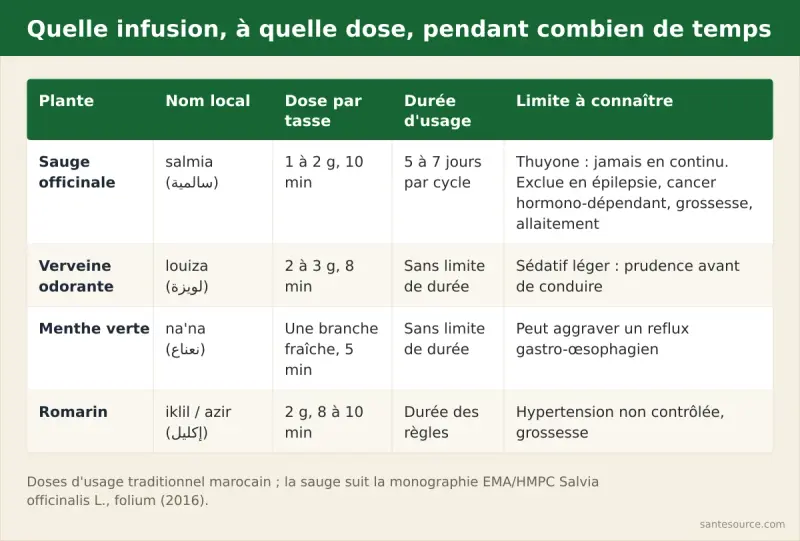 Comparaison des infusions marocaines contre les règles douloureuses : sauge, verveine, menthe et romarin, avec dose par tasse et durée d’usage