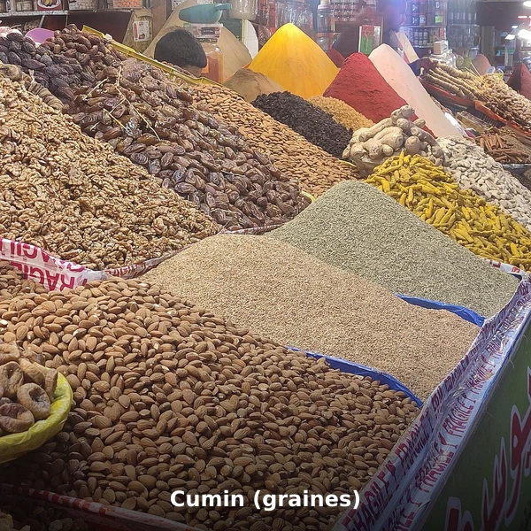 Photographie de Cumin (graines) (Cuminum cyminum), source Wikimedia Commons, plante médicinale africaine documentée