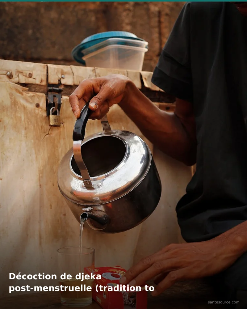 Préparation traditionnelle de décoction de djeka post-menstruelle (tradition togolaise), remède naturel africain pour soutenir santé féminine, ingrédients végétaux