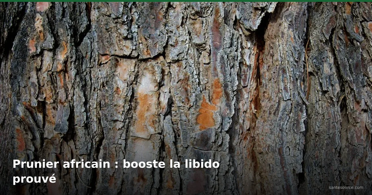 Écorce rugueuse de prunier africain pygeum, plante médicinale africaine pour la libido masculine