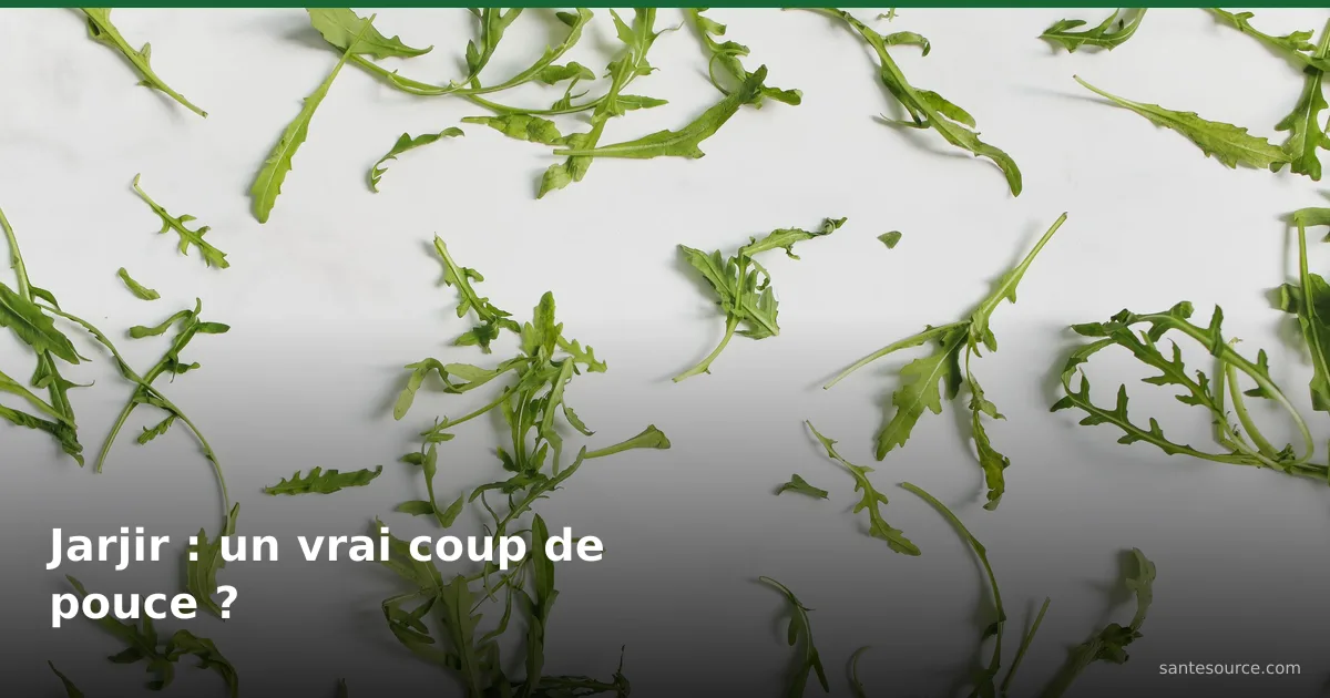 Feuilles de roquette (jarjir) fraîches sur surface claire, plante riche en nitrates pour la vitalité de l'homme